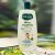 ALOE VERA & VITAMIN E BABY SHAMPOO 500ML NEW DESIGN (BIOLUXE SERIES)